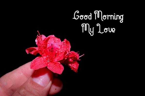 Good Morning My Love Images