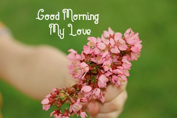 Good Morning My Love Images