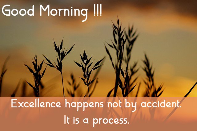 “Excellence happens not by accident. It is a process.”