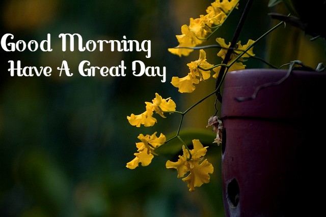 Good Morning Images HD