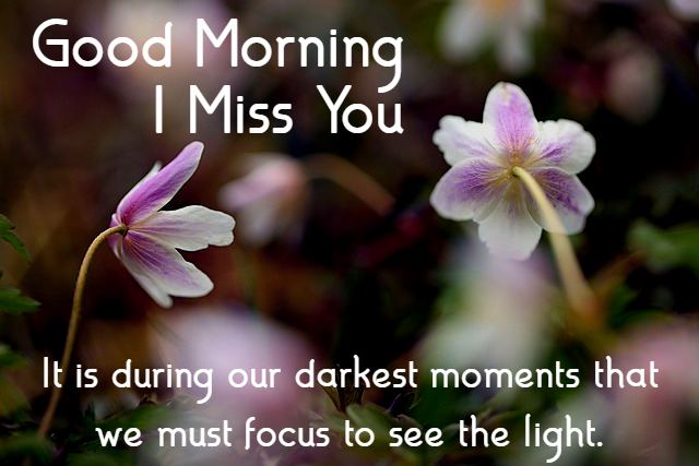 “It is during our darkest moments that we must focus to see the light.”