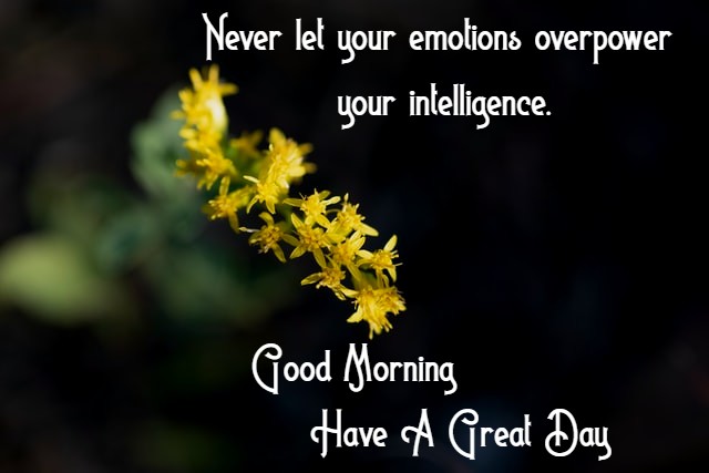 “Never let your emotions overpower your intelligence.”