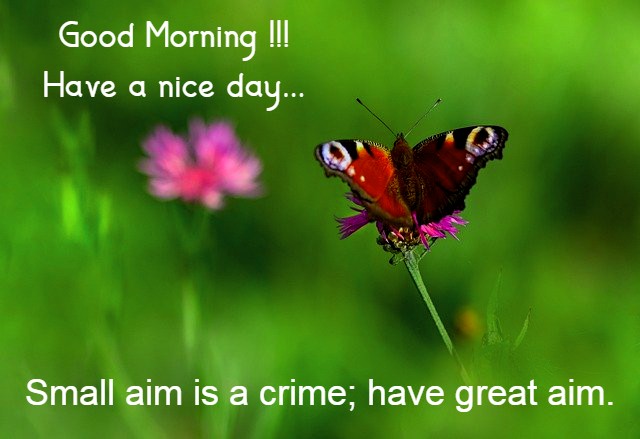 “Small aim is a crime; have great aim.”