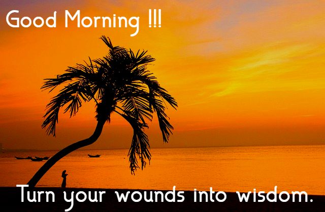“Turn your wounds into wisdom.”