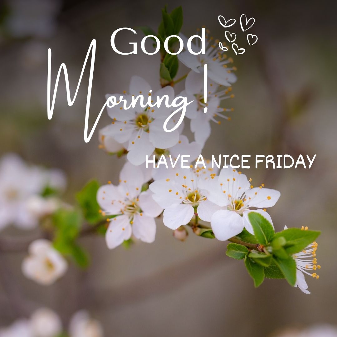 Good Morning Friday Images