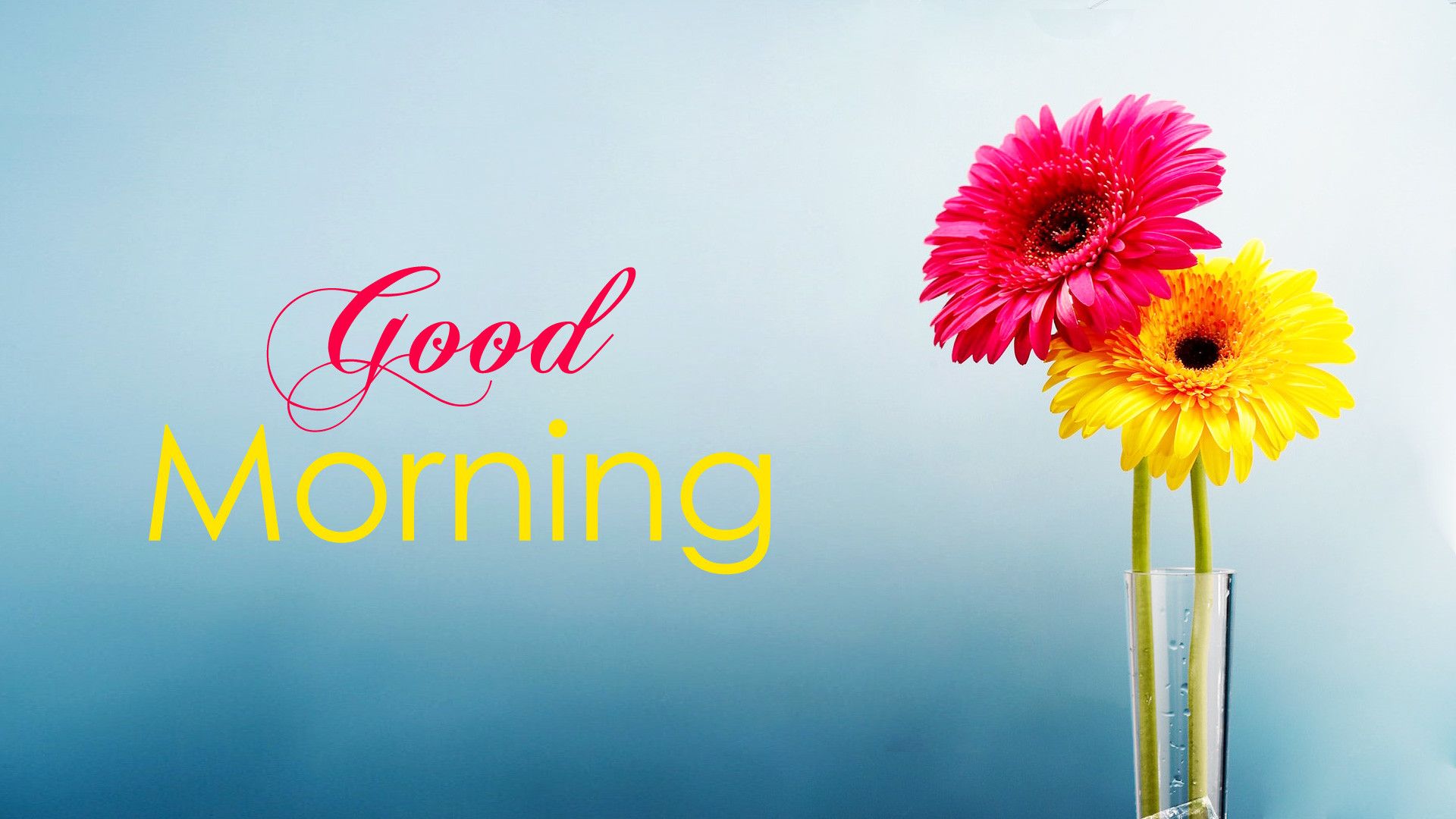 Good Morning Images HD 1080p Download