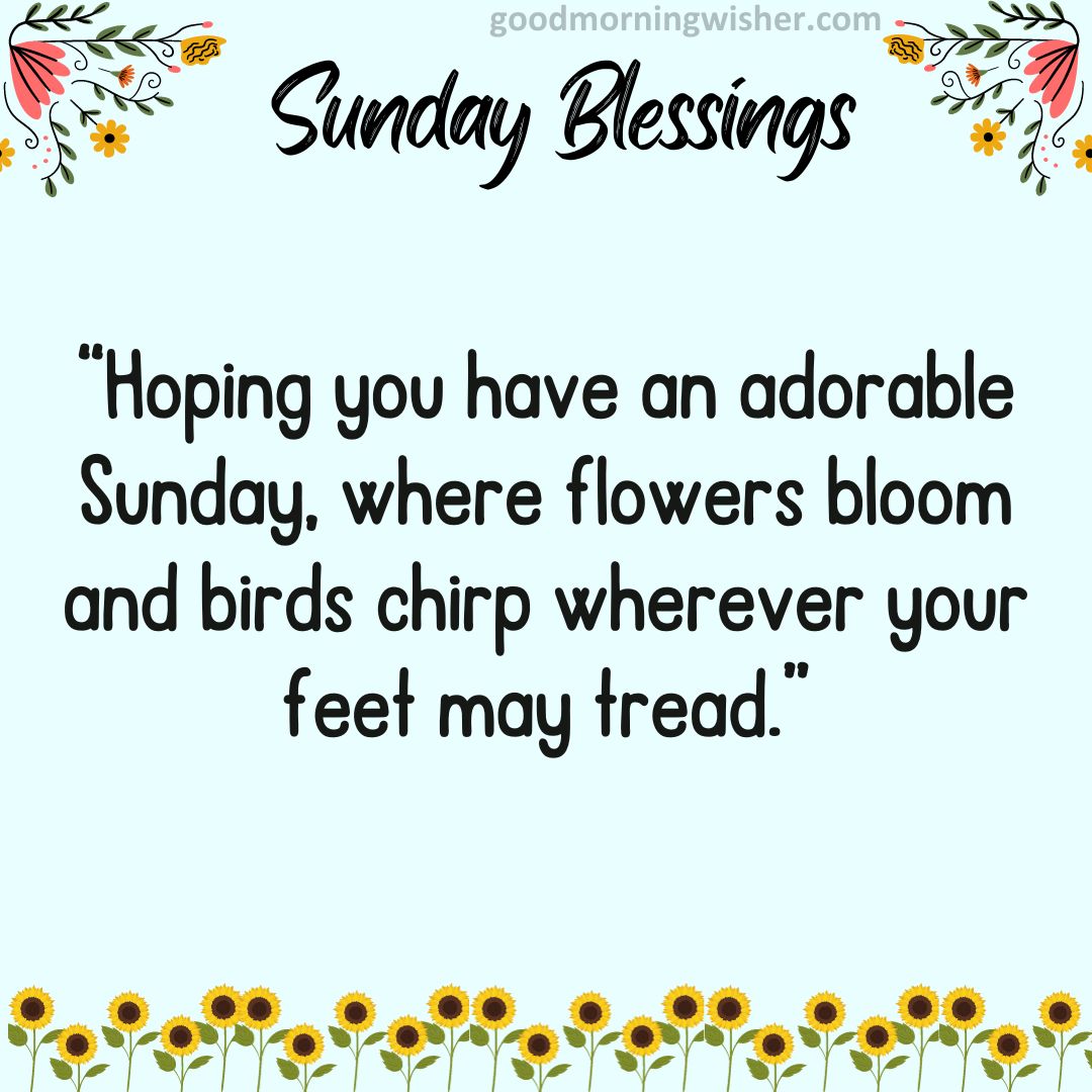 Hoping you have an adorable Sunday, where flowers bloom and birds chirp wherever your feet may tread.