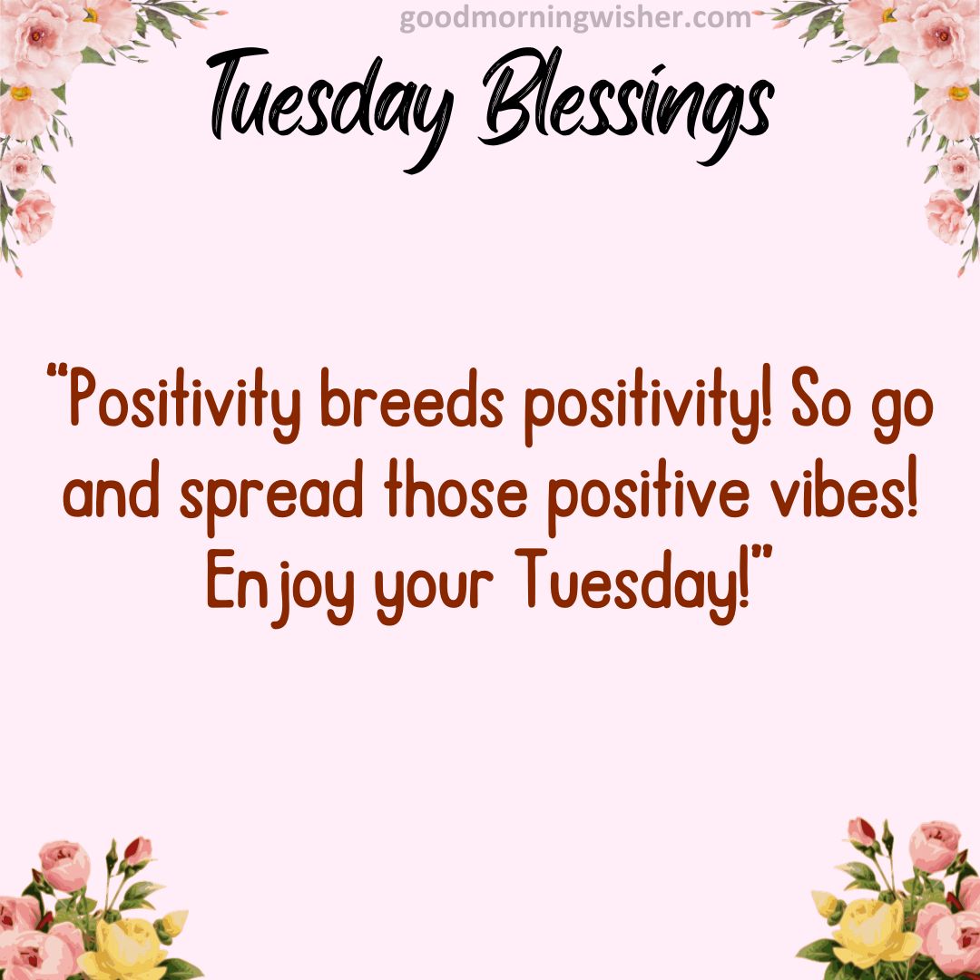 Positivity breeds positivity! So go and spread those positive vibes! Enjoy your Tuesday!