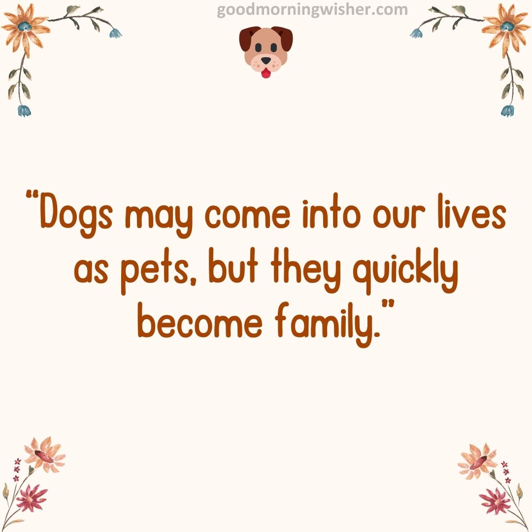 “Dogs may come into our lives as pets, but they quickly become family.”