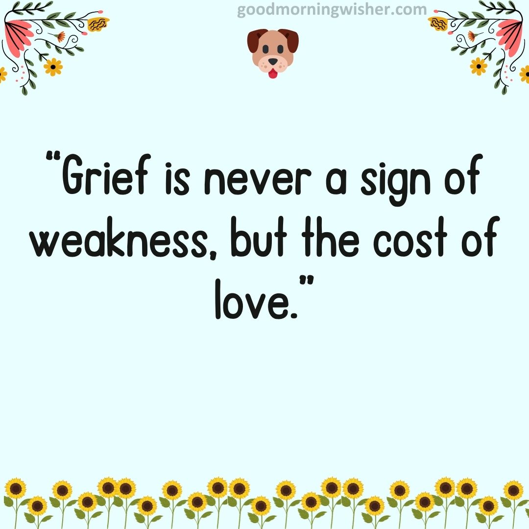 “Grief is never a sign of weakness, but the cost of love.”