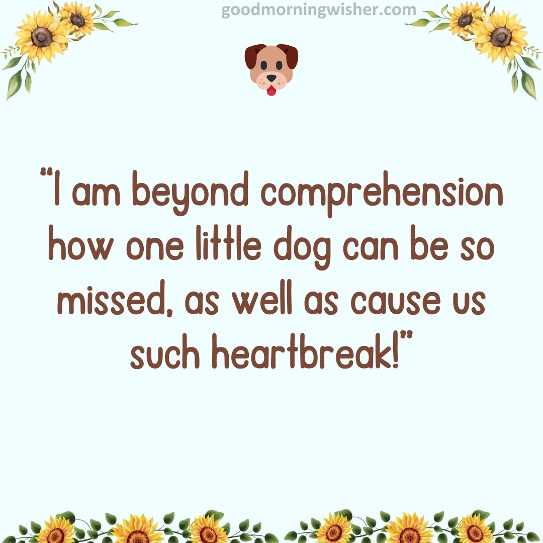 “I am beyond comprehension how one little dog can be so missed, as well as cause us