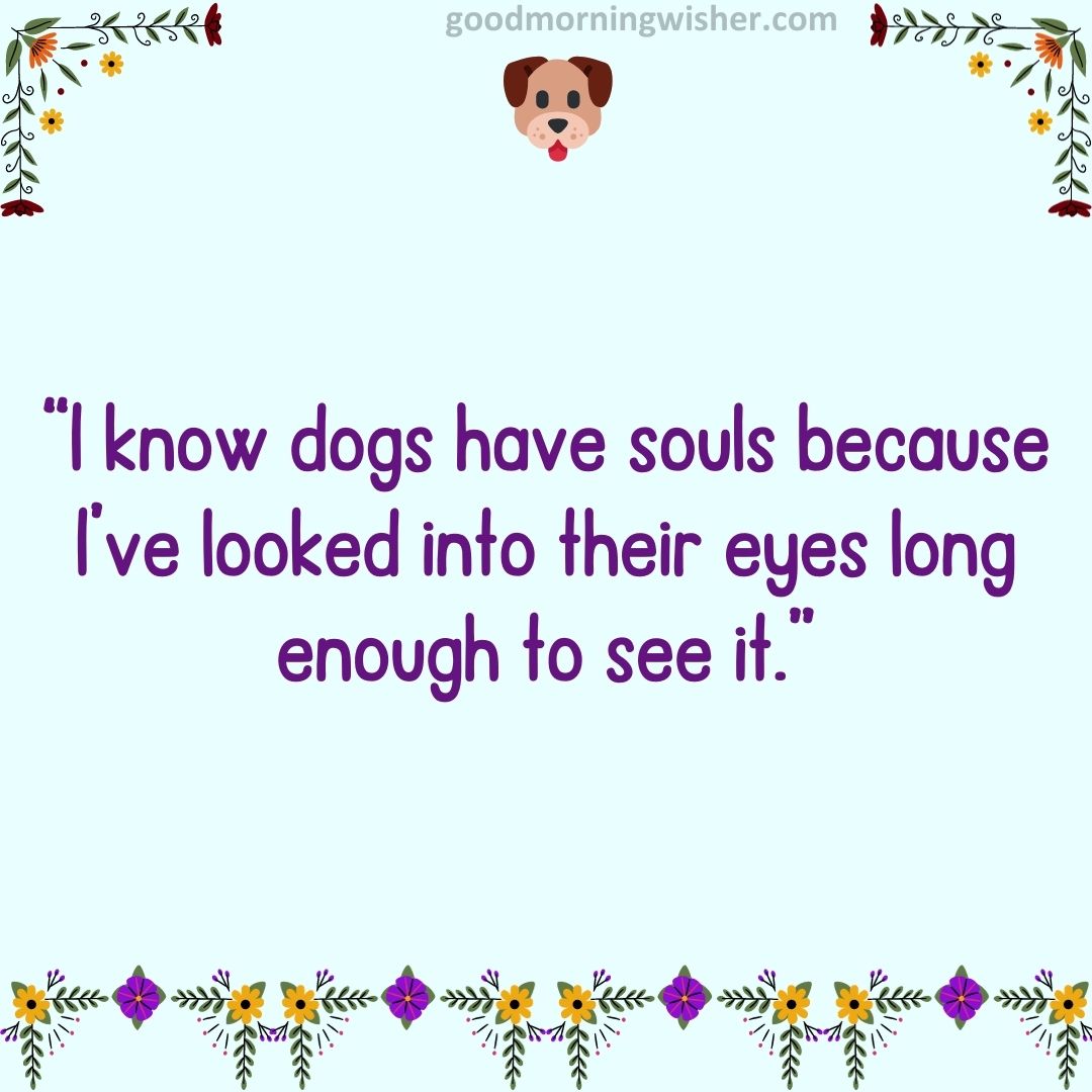 “I know dogs have souls because I’ve looked into their eyes long enough to see it.”