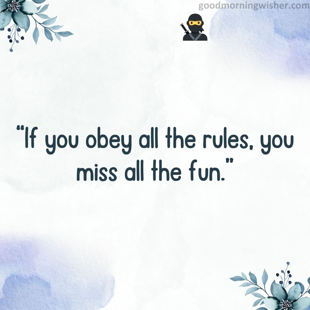 “If you obey all the rules, you miss all the fun.”