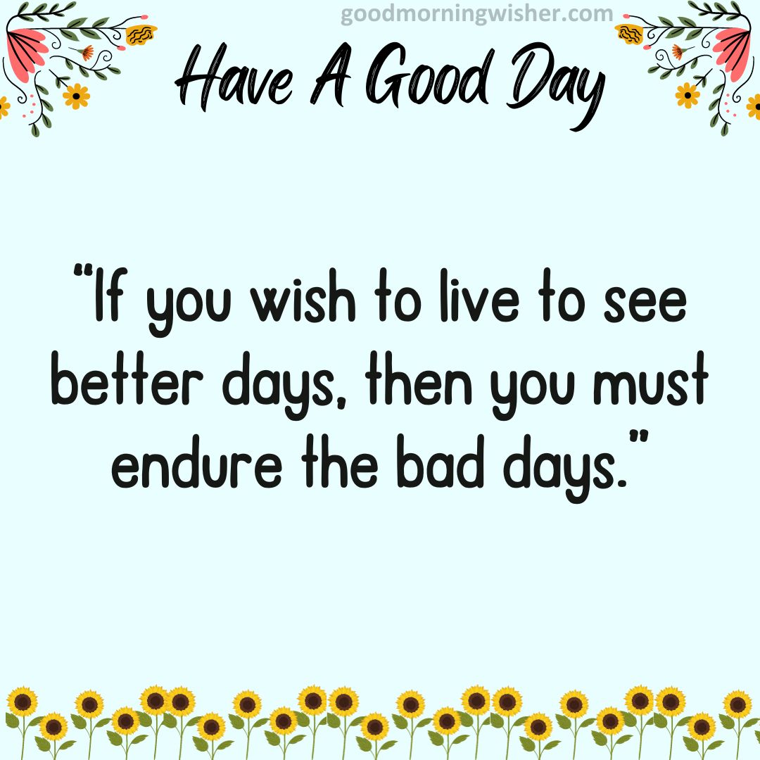 “If you wish to live to see better days, then you must endure the bad days.”