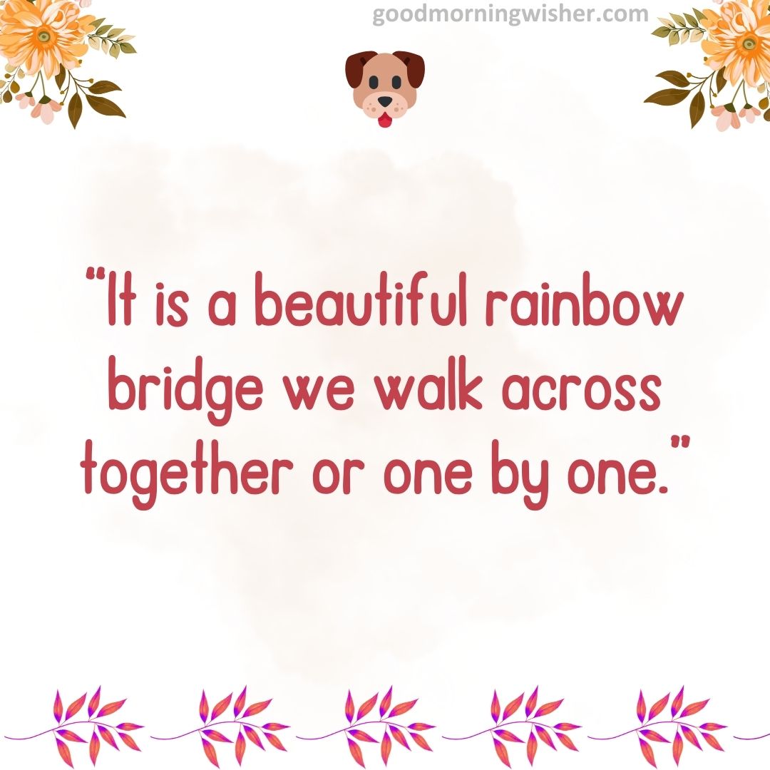 “It is a beautiful rainbow bridge we walk across together or one by one.”