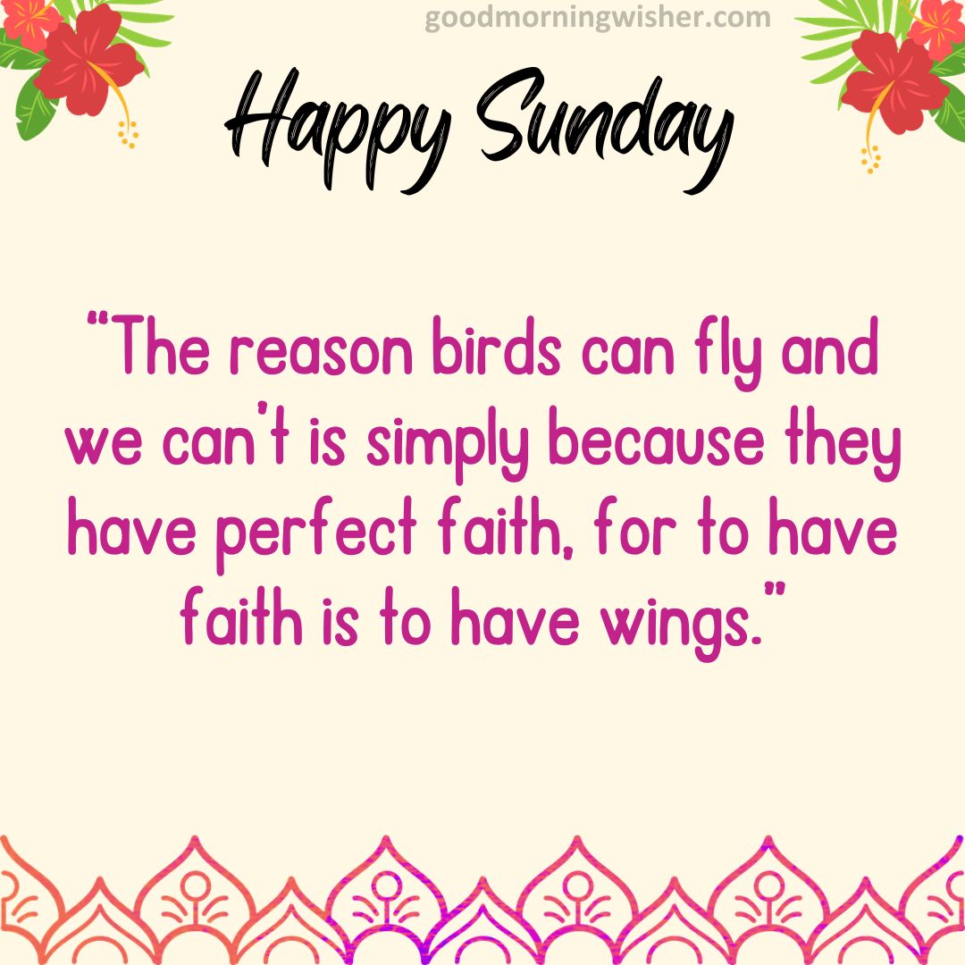 The reason birds can fly and we can’t is simply because they have perfect faith, for to have faith