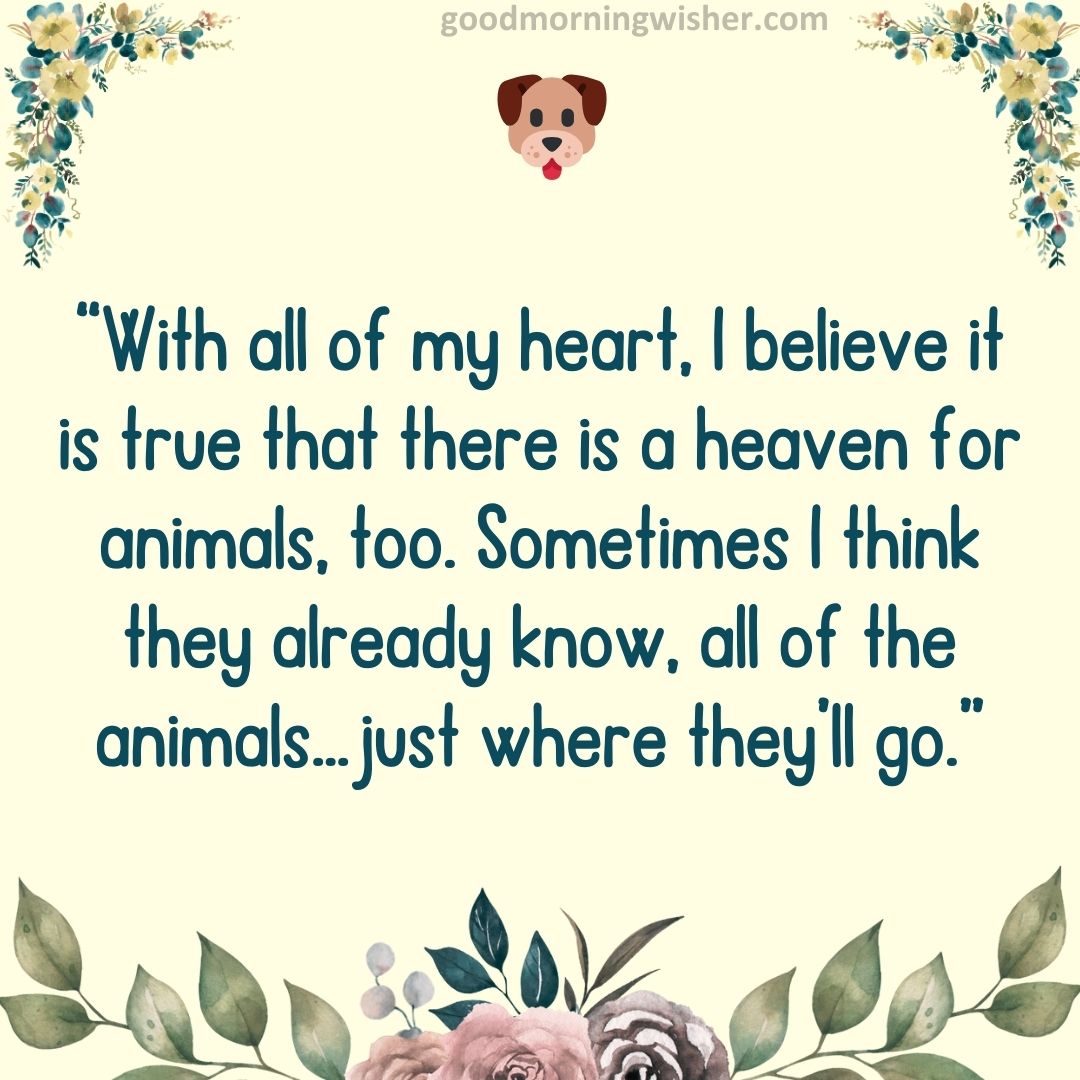 “With all of my heart, I believe it is true that there is a heaven for animals, too. Sometimes