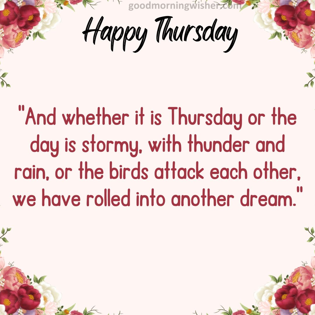 And whether it is Thursday or the day is stormy, with thunder and rain, or the birds attack