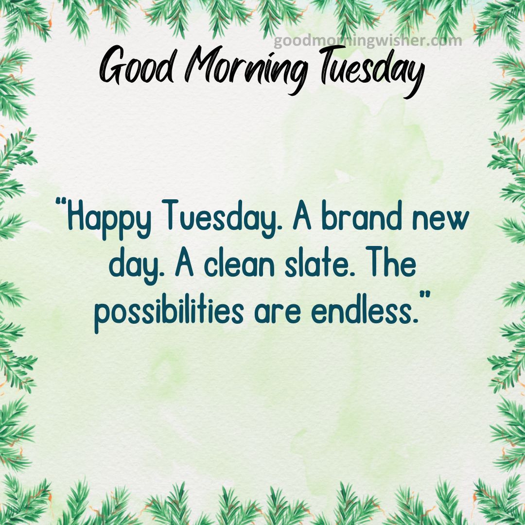 “Happy Tuesday. A brand new day. A clean slate. The possibilities are endless.”