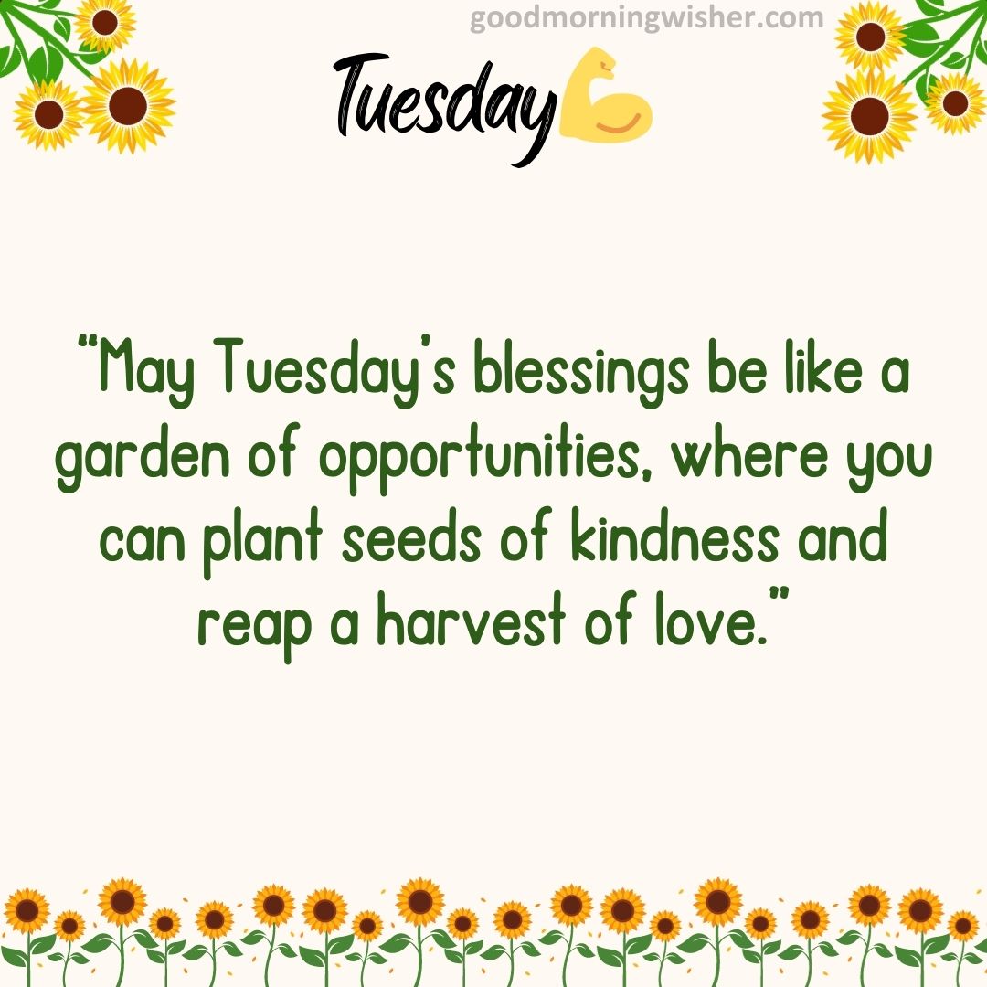 “May Tuesday’s blessings be like a garden of opportunities, where you can plant seeds