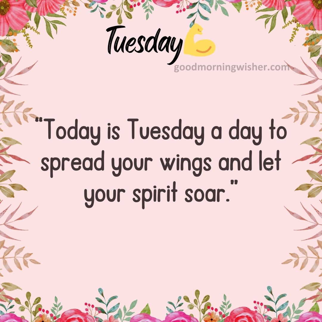 “Today is Tuesday—a day to spread your wings and let your spirit soar.”