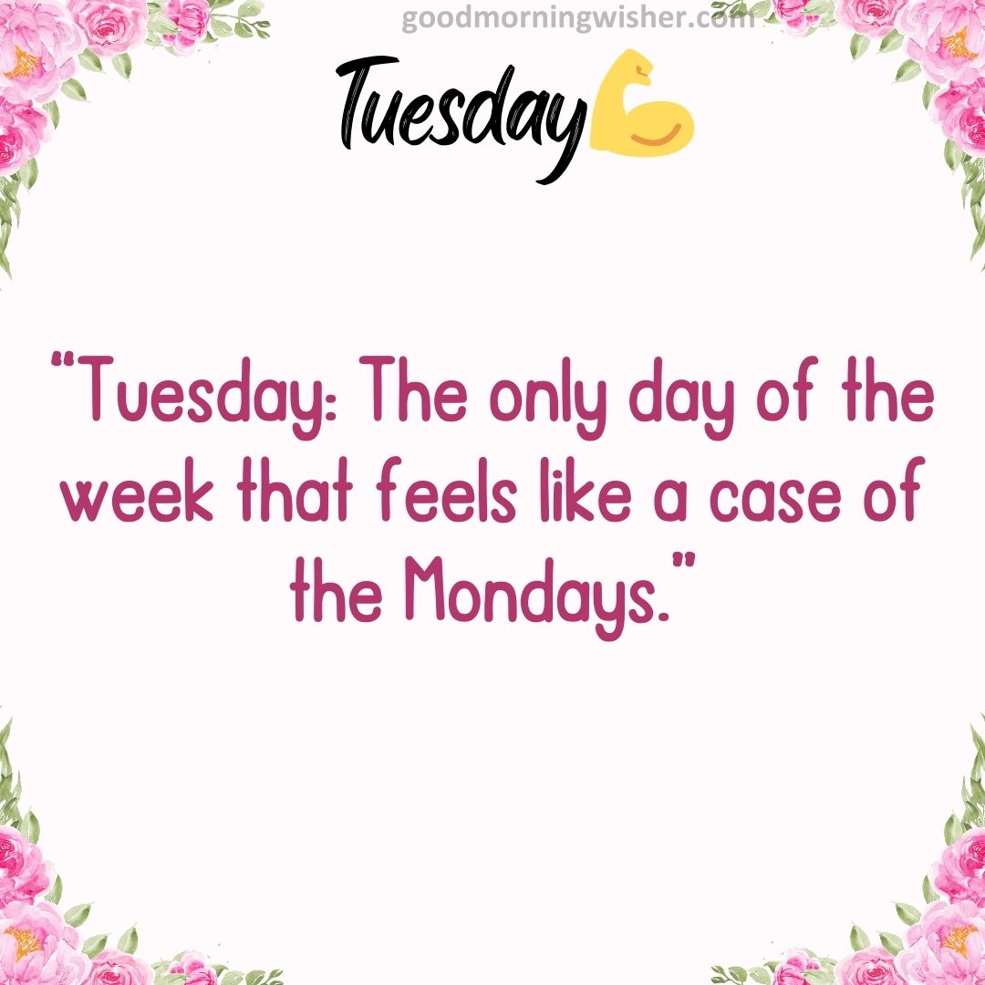 “Tuesday: The only day of the week that feels like a case of the Mondays.”
