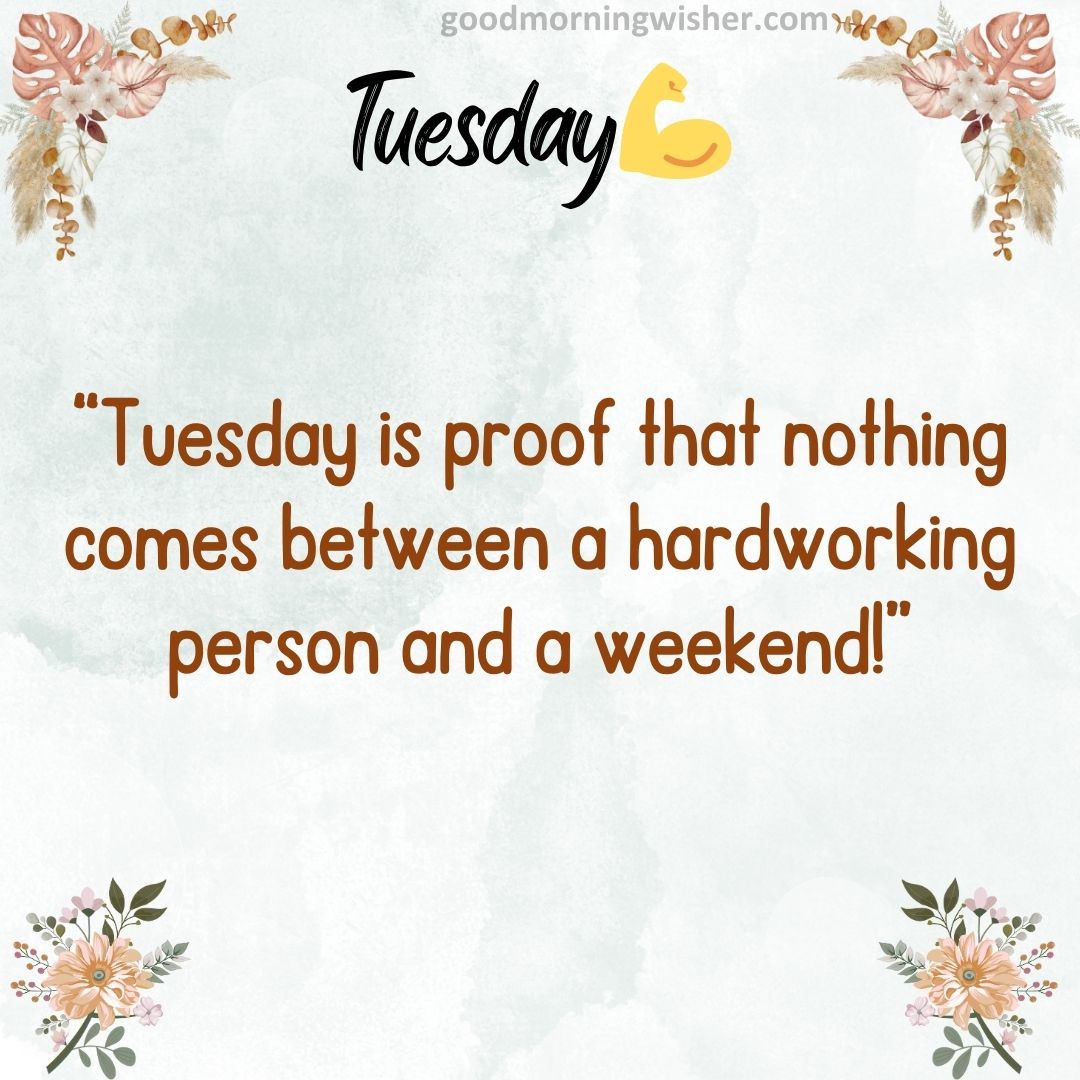 “Tuesday is proof that nothing comes between a hardworking person and a weekend!”