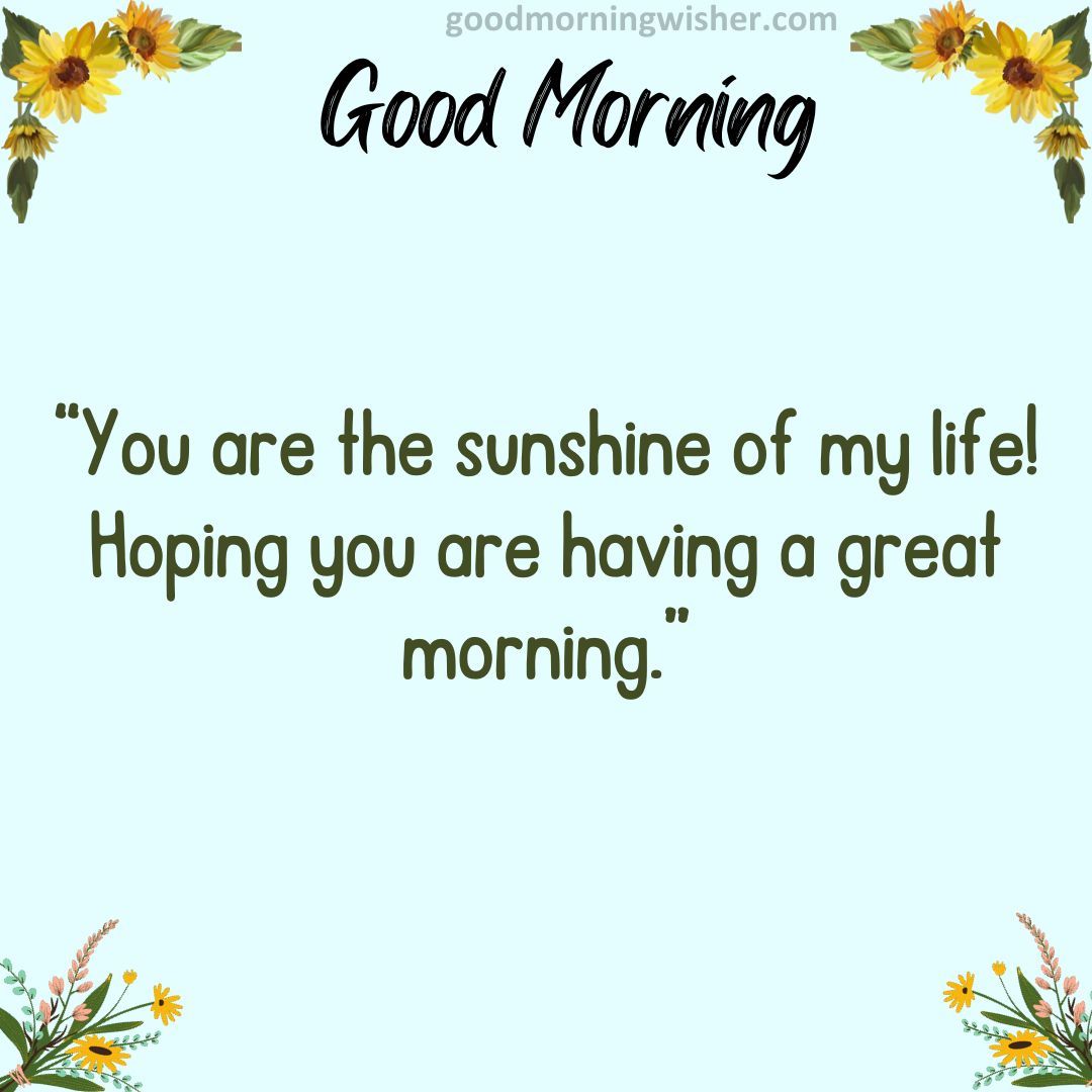 You are the sunshine of my life! Hoping you are having a great morning.
